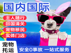 伊春林都国际宠物托运 【国